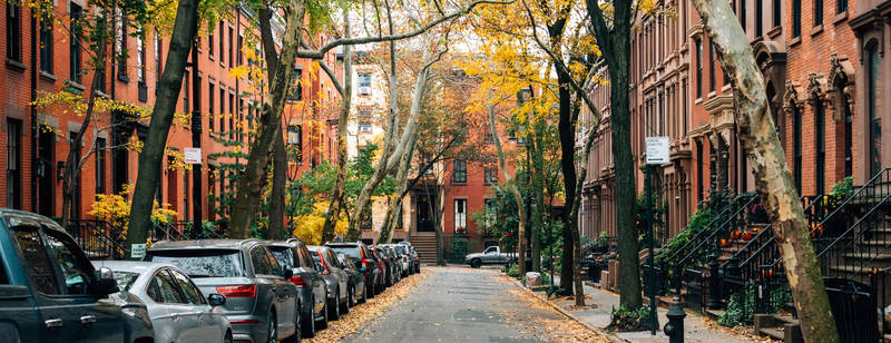 		                                		                                    <a href="/eruv.html"
		                                    	target="">
		                                		                                <span class="slider_title">
		                                    An autumn street scene in Brooklyn Heights		                                </span>
		                                		                                </a>
		                                		                                
		                                		                            		                            		                            